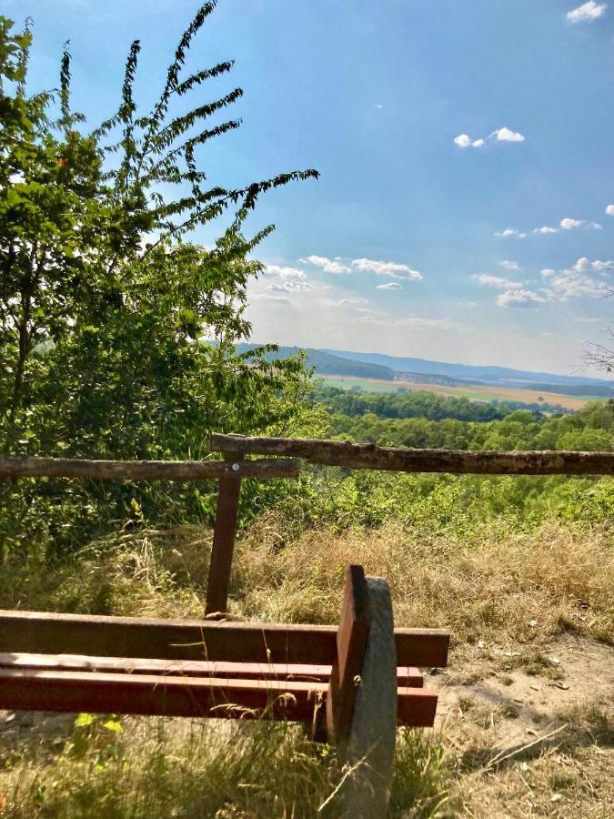 Ferienhaus Moni Mit 2 Separaten Wohnungen Am Silbersee Frielendorf Esterno foto